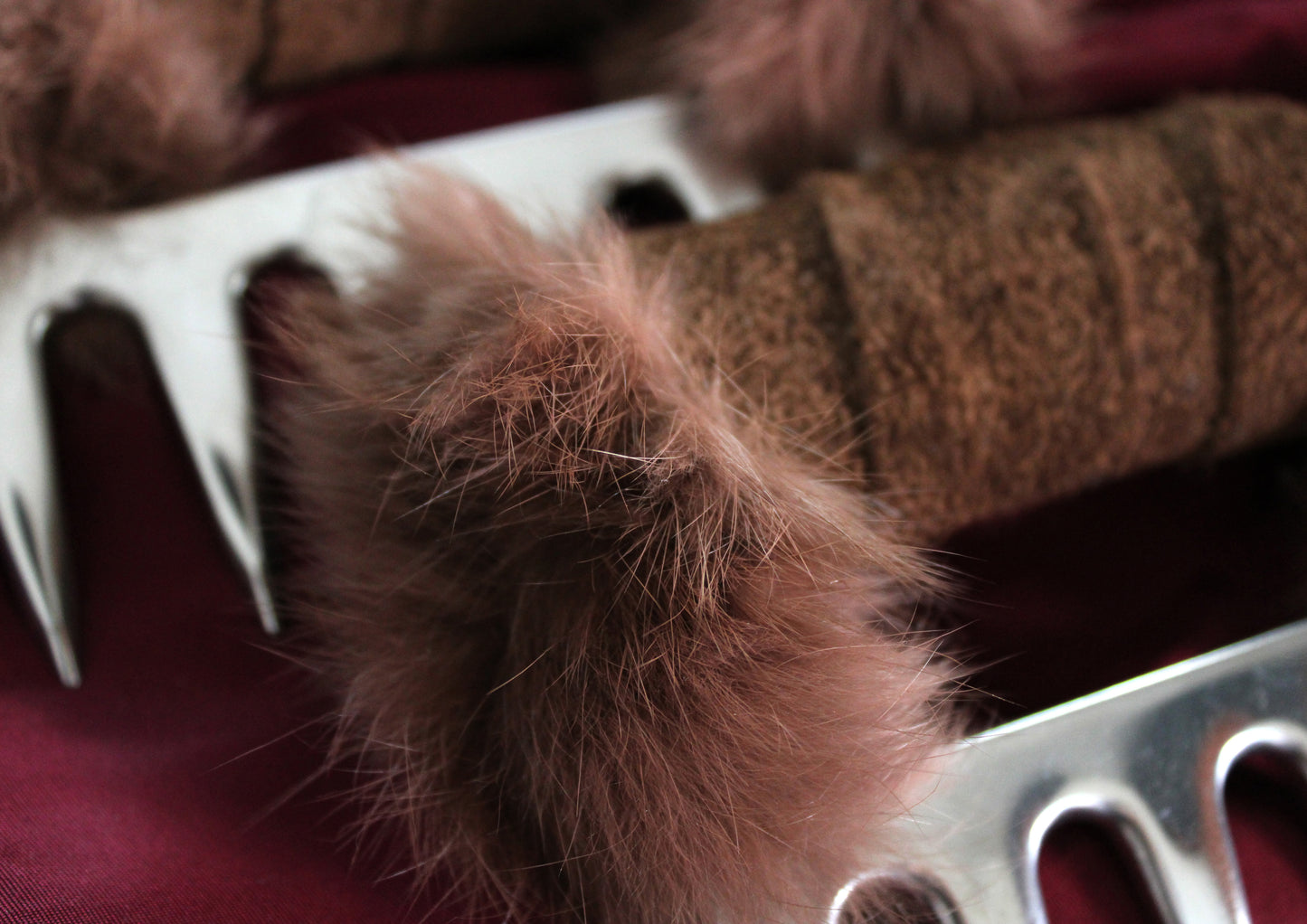 Primal claws, brown bear paws